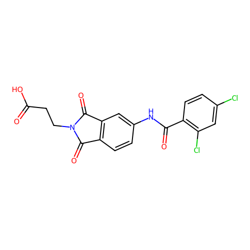 3-(5-(2,4-dichlorobenzamido)-1,3-dioxoisoindolin-2-yl)propanoic acid structure