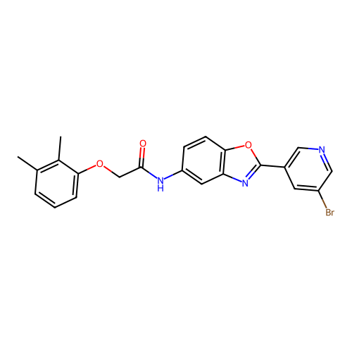 N-[2-(5-bromopyridin-3-yl)-1,3-benzoxazol-5-yl]-2-(2,3-dimethylphenoxy)acetamide structure
