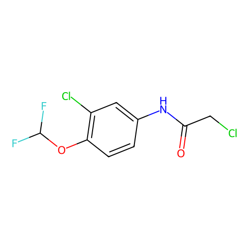 2-chloro-N-[3-chloro-4-(difluoromethoxy)phenyl]acetamide structure