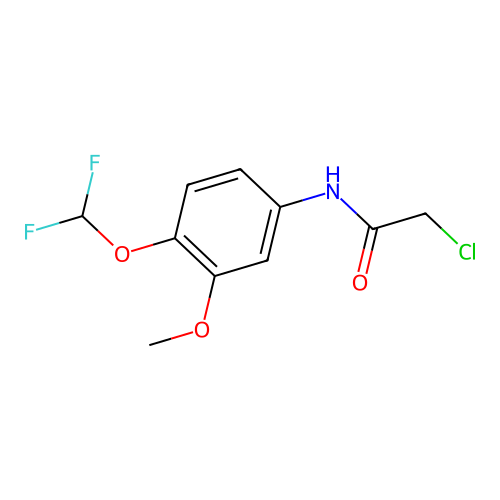 2-Chloro-N-(4-difluoromethoxy-3-methoxy-phenyl)-acetamide structure