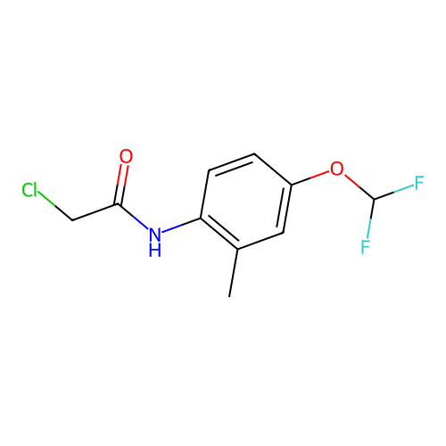 2-chloro-N-[4-(difluoromethoxy)-2-methylphenyl]acetamide structure