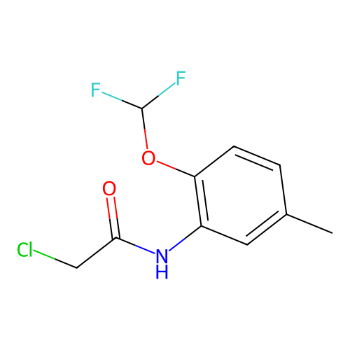 2-Chloro-N-(2-difluoromethoxy-5-methyl-phenyl)-acetamide structure