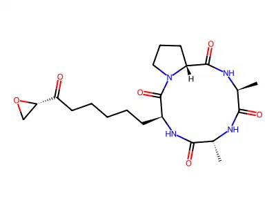 HC毒素 structure