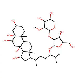 Nodososide structure