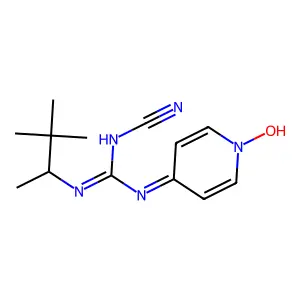 Pinacidil N-oxide structure