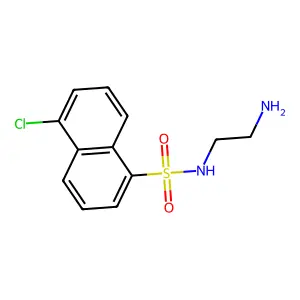 N-(2-氨基乙基)-5-氯萘-1-磺酰胺 structure