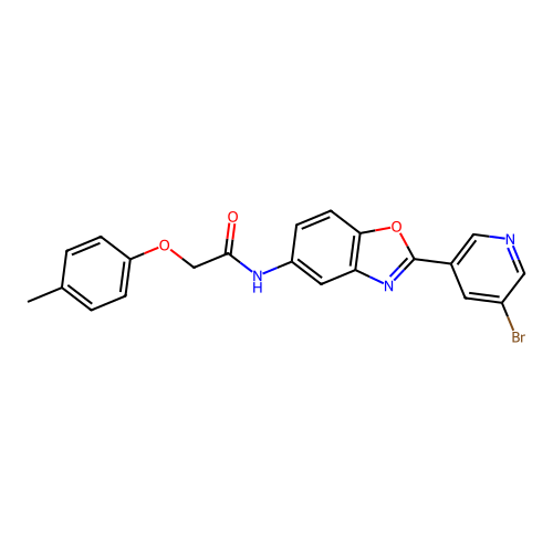 N-[2-(5-bromopyridin-3-yl)-1,3-benzoxazol-5-yl]-2-(4-methylphenoxy)acetamide structure