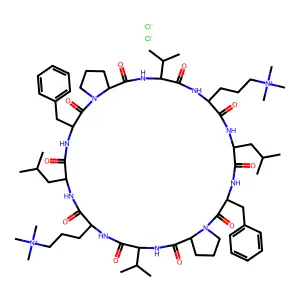 (2,2'-N(delta)-Trimethylornithyl)gramicidin S structure