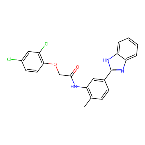 N-[5-(1H-benzimidazol-2-yl)-2-methylphenyl]-2-(2,4-dichlorophenoxy)acetamide structure