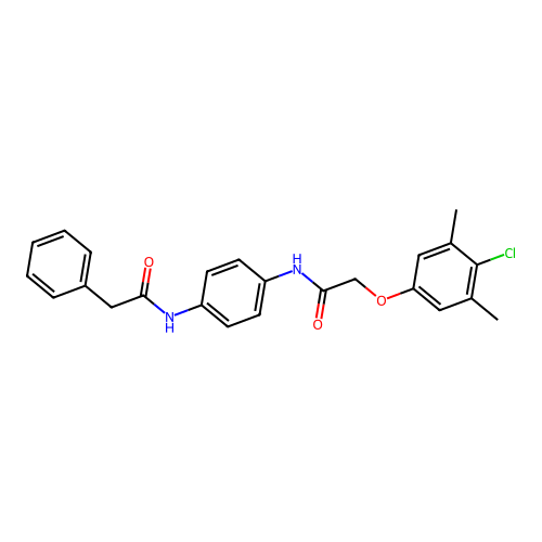 N-[4-[[2-(4-chloro-3,5-dimethylphenoxy)acetyl]amino]phenyl]-2-phenylacetamide structure