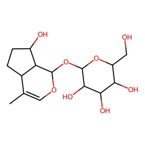 Strictoside structure