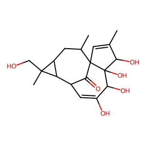 1H-2,8a-Methanocyclopenta(a)cyclopropa(e)cyclodecen-11-one, 1a,2,5,5a,6,9,10,10a-octahydro-4,5,5a,6-tetrahydroxy-1-(hydroxymethyl)-1,7,9-trimethyl-, (1S-(1alpha,1aalpha,2beta,5beta,5abeta,6beta,8aalph,9alpha,10aalpha)- structure