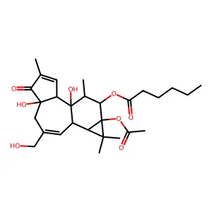 12-O-Hexanoylphorbol 13-acetate structure