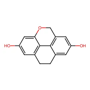 Flavidin structure