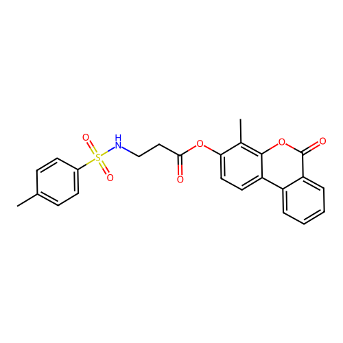 EiM07-19065 structure
