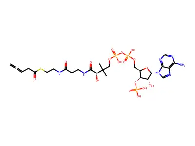 3,4-Pentadienoyl-coenzyme A structure