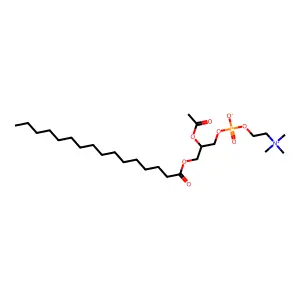 PAGPC structure