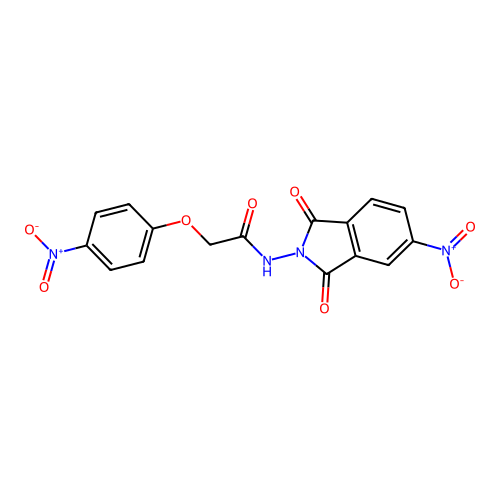 N-(5-nitro-1,3-dioxoisoindol-2-yl)-2-(4-nitrophenoxy)acetamide structure