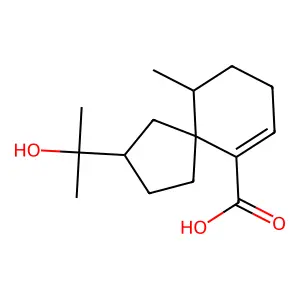 Elsinore pill structure