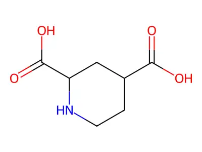 2,4-Piperidinedicarboxylic acid structure