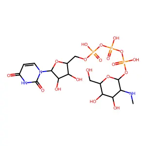 UDP-N-methylglucosamine phosphate structure