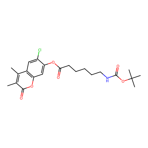 EiM07-19123 structure