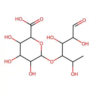 Glucuronosyl(1-4)-rhamnose structure