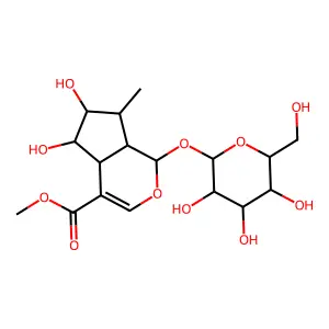 6Beta-Hydroxyloganin structure