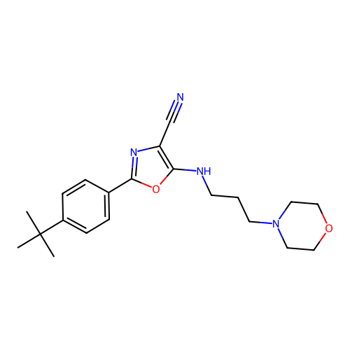 2-(4-(tert-butyl)phenyl)-5-((3-morpholinopropyl)amino)oxazole-4-carbonitrile structure