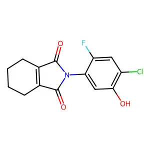 1H-Isoindole-1,3(2H)-dione, 2-(4-chloro-2-fluoro-5-hydroxyphenyl)-4,5,6,7-tetrahydro- structure