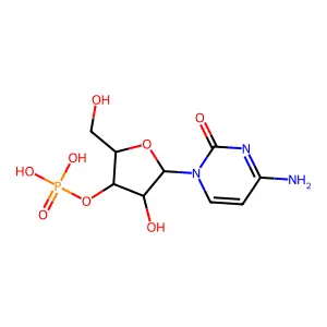3'-Cmp structure