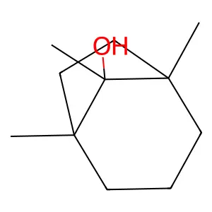 1,5,8-Trimethylbicyclo[3.2.1]octan-8-ol structure