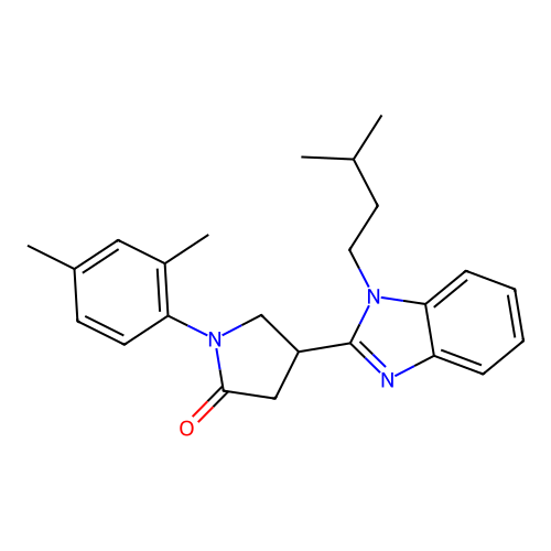 1-(2,4-Dimethylphenyl)-4-[1-(3-methylbutyl)benzimidazol-2-yl]pyrrolidin-2-one structure