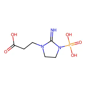 Phosphohomocyclocreatine structure
