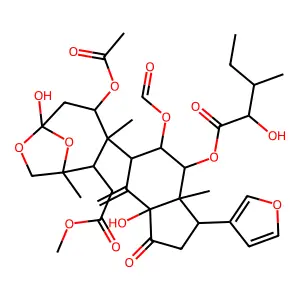 Nymania 1 structure