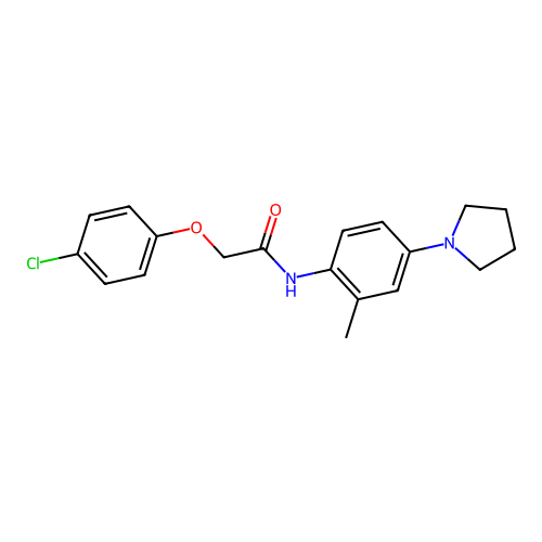 2-(4-chlorophenoxy)-N-(2-methyl-4-pyrrolidin-1-ylphenyl)acetamide structure