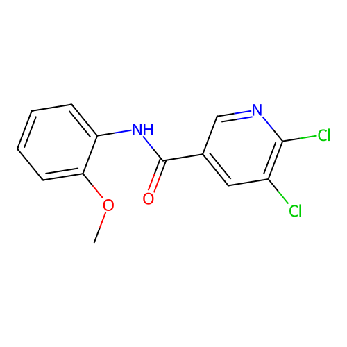 5,6-dichloro-N-(2-methoxyphenyl)pyridine-3-carboxamide structure