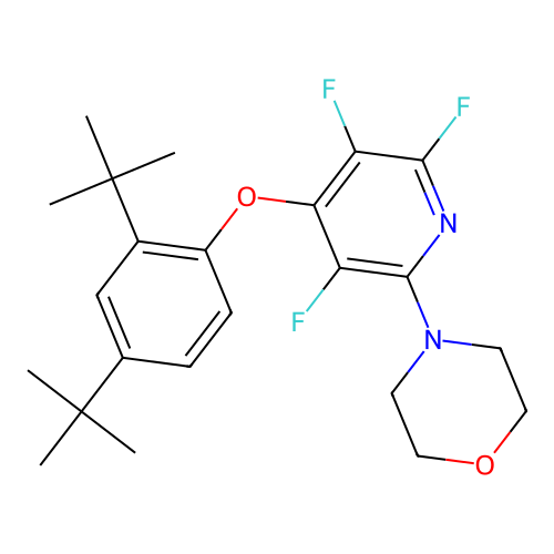 4-(4-(2,4-Di-tert-butylphenoxy)-3,5,6-trifluoropyridin-2-yl)morpholine structure