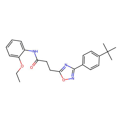 3-[3-(4-tert-butylphenyl)-1,2,4-oxadiazol-5-yl]-N-(2-ethoxyphenyl)propanamide structure