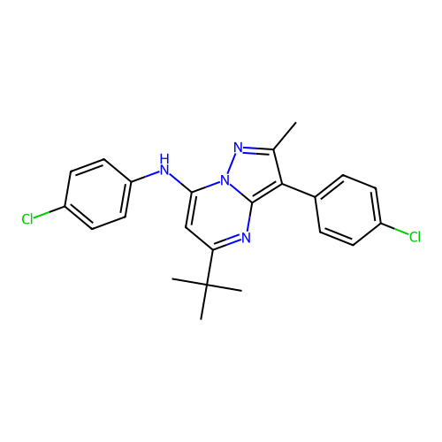 5-tert-butyl-N,3-bis(4-chlorophenyl)-2-methylpyrazolo[1,5-a]pyrimidin-7-amine structure