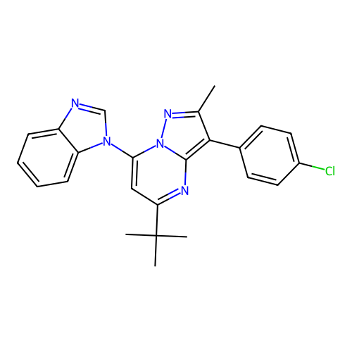 7-(1H-benzimidazol-1-yl)-5-tert-butyl-3-(4-chlorophenyl)-2-methylpyrazolo[1,5-a]pyrimidine structure