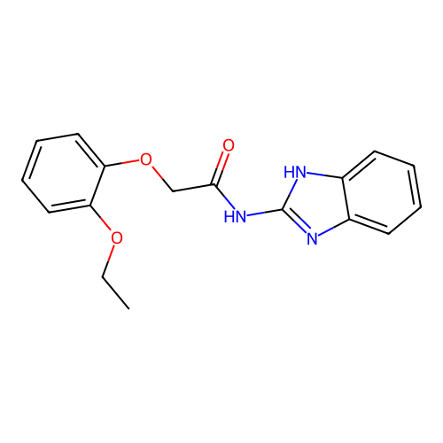 N-(1H-benzimidazol-2-yl)-2-(2-ethoxyphenoxy)acetamide structure