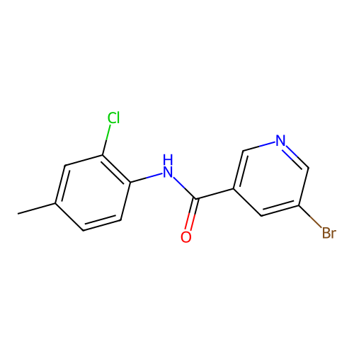 5-Bromo-N-(2-chloro-4-methylphenyl)nicotinamide structure