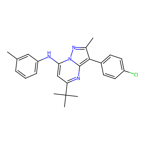 5-tert-butyl-3-(4-chlorophenyl)-2-methyl-N-(3-methylphenyl)pyrazolo[1,5-a]pyrimidin-7-amine structure