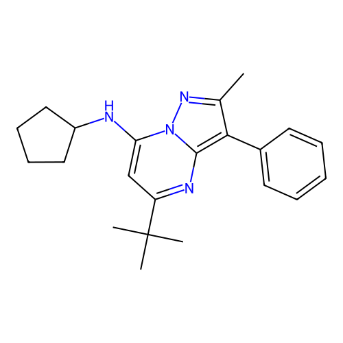 5-tert-butyl-N-cyclopentyl-2-methyl-3-phenylpyrazolo[1,5-a]pyrimidin-7-amine structure