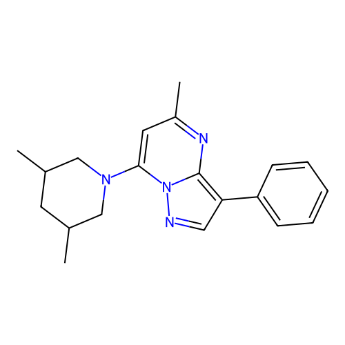 7-(3,5-Dimethylpiperidin-1-yl)-5-methyl-3-phenylpyrazolo[1,5-a]pyrimidine structure