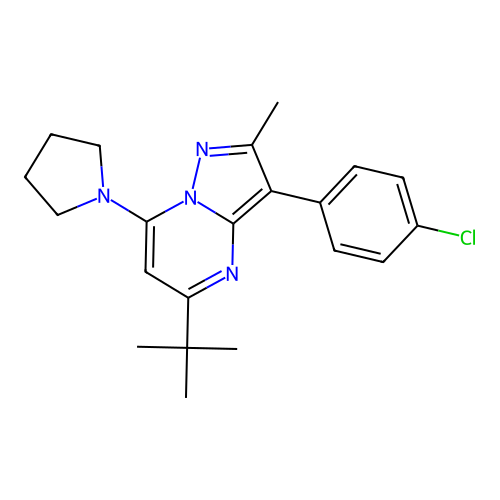 5-tert-butyl-3-(4-chlorophenyl)-2-methyl-7-(pyrrolidin-1-yl)pyrazolo[1,5-a]pyrimidine structure