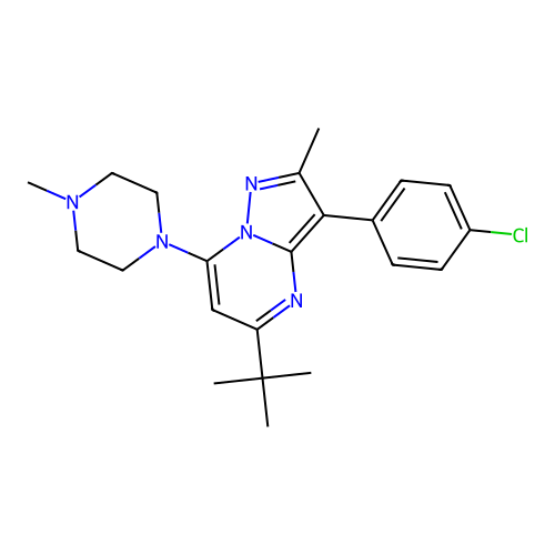 1-[5-TERT-BUTYL-3-(4-CHLOROPHENYL)-2-METHYLPYRAZOLO[1,5-A]PYRIMIDIN-7-YL]-4-METHYLPIPERAZINE structure