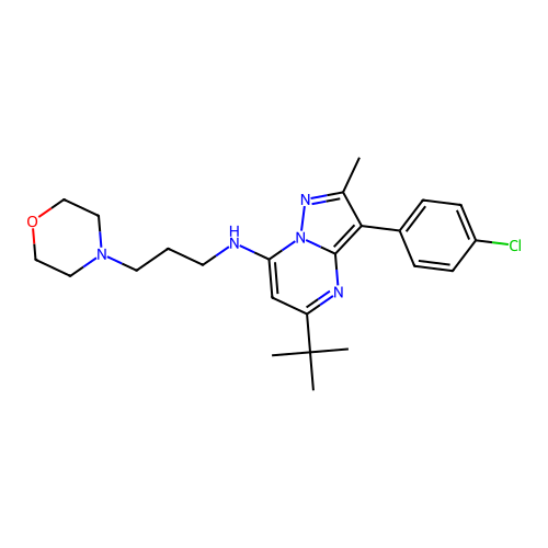 5-(tert-butyl)-3-(4-chlorophenyl)-2-methyl-N-(3-morpholinopropyl)pyrazolo[1,5-a]pyrimidin-7-amine structure