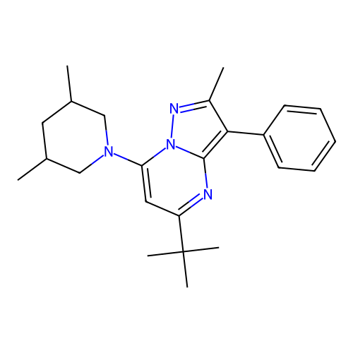 5-tert-butyl-7-(3,5-dimethylpiperidin-1-yl)-2-methyl-3-phenylpyrazolo[1,5-a]pyrimidine structure